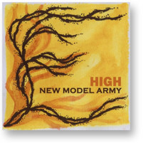 New Model Army 